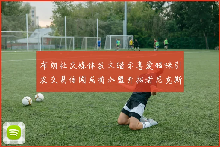 布朗社交媒体发文暗示喜爱猫咪引发交易传闻或将加盟开拓者尼克斯雷霆湖人